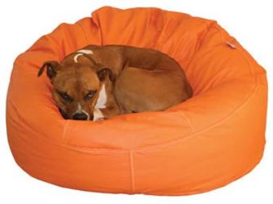 Pet beanbags